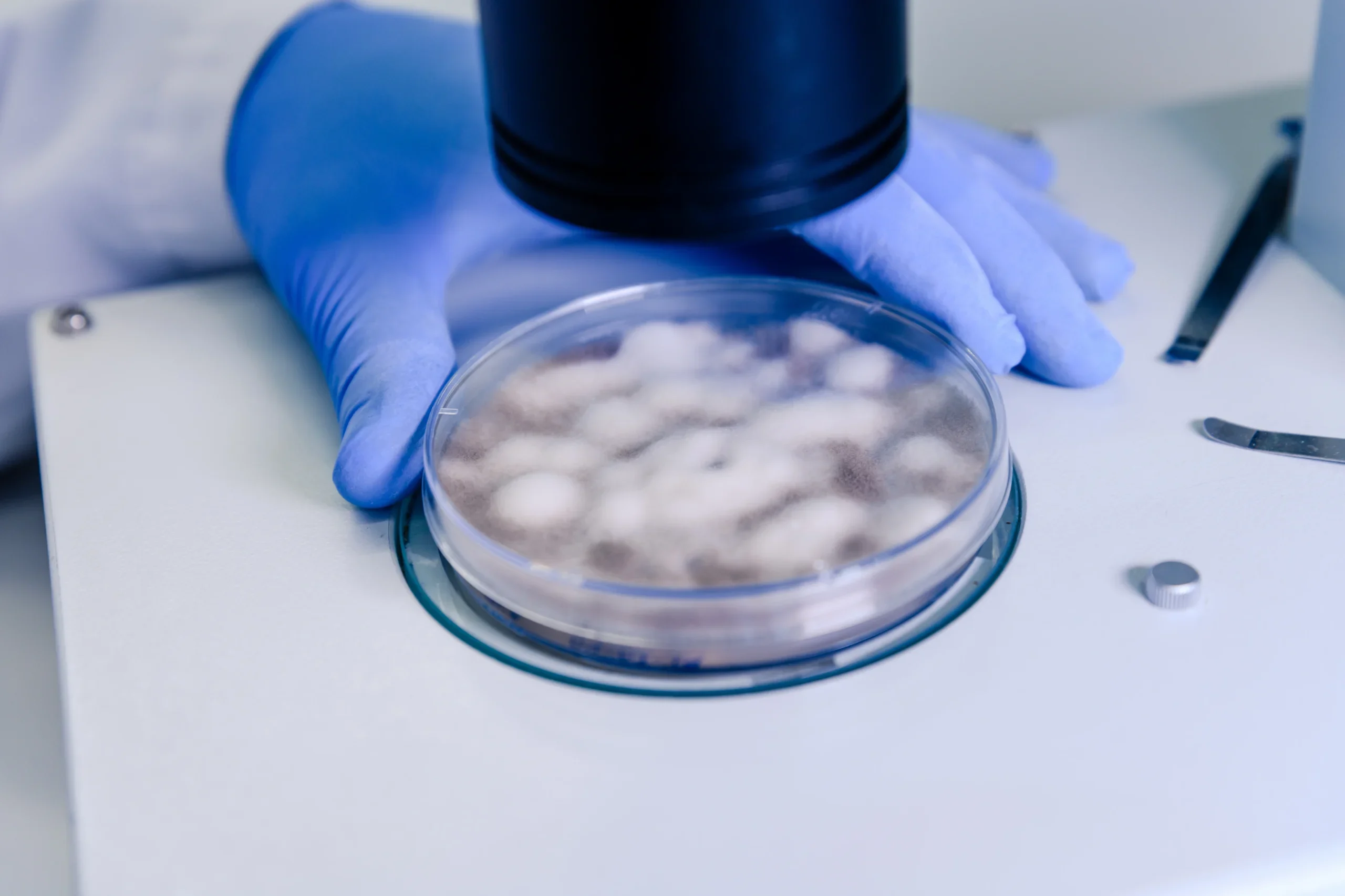 laboratory-worker-examining-substance-petri-dish-while-conducting-coronavirus-research